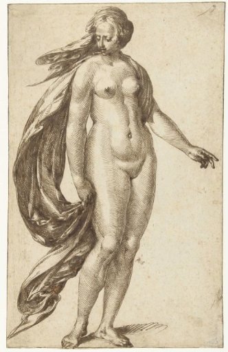 Standing Female Nude