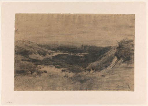 Heath landscape near Hilversum