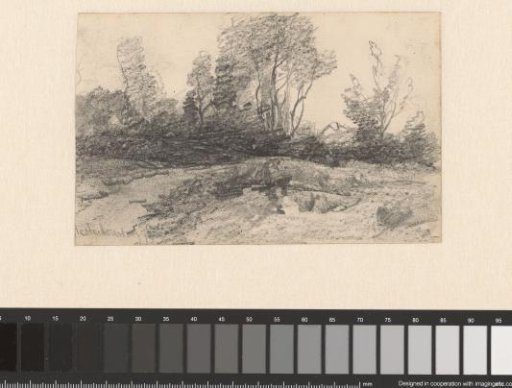 Landscape with trees