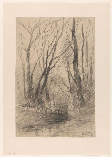 Wooded view near Ruurlo