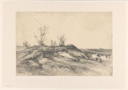 Landscape near Wolfheze