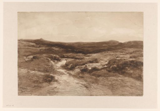 Heath landscape
