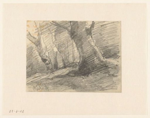 Trees, Baarn