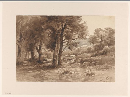 Rocky landscape with trees