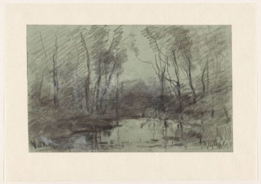 Fen among trees