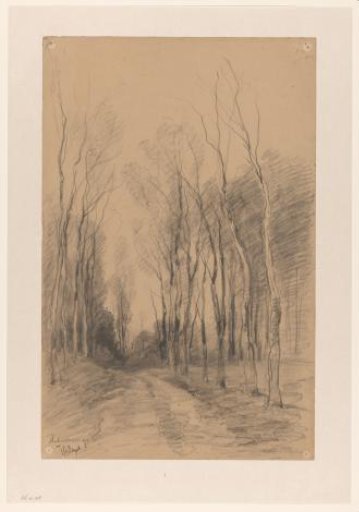 Path between trees near Hilversum
