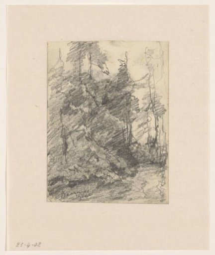 Path in a forest, Baarn