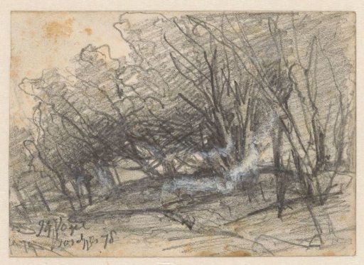 Wooded landscape