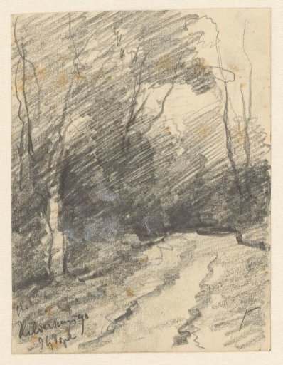 Path in a forest, Hilversum