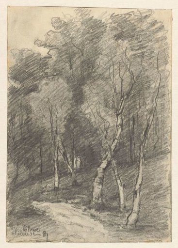 Wooded landscape near Hilversum