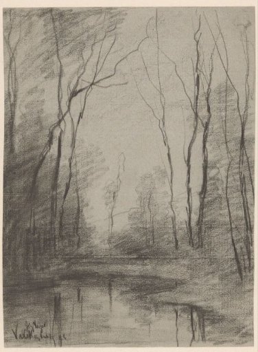 Small lake in a forest near Valkenburg