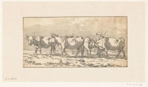Shepherd With A Herd Of Cows In The Meadow