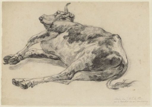 Dead ox, after a flood in Oosterbeek