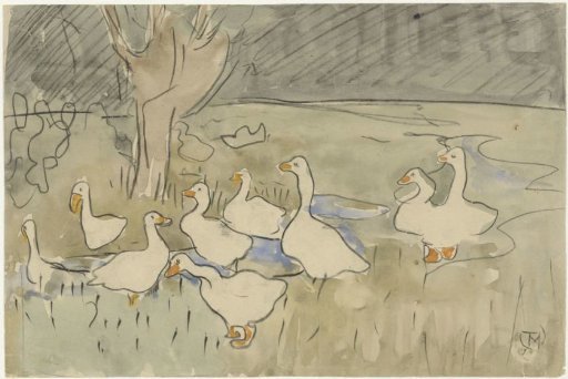 Ducks
