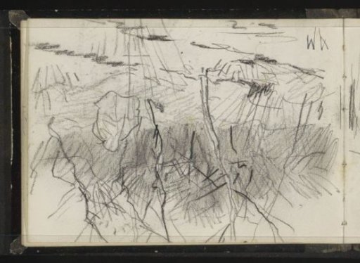 Landscape with plants and bare trees