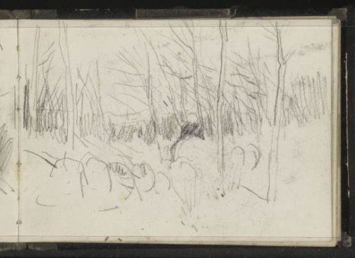 Trees and bushes