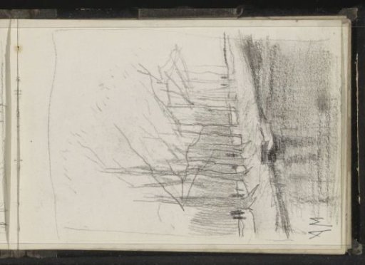 Row of trees and a path along a canal