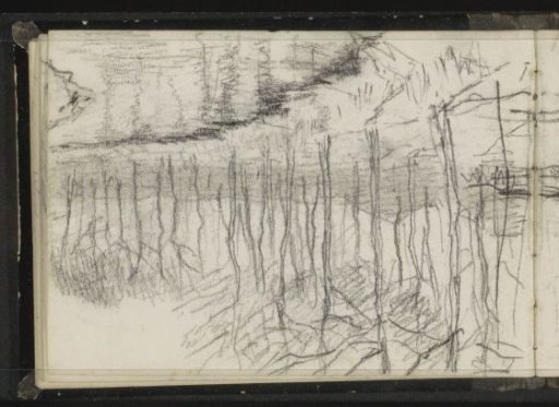 Row of trees by the water