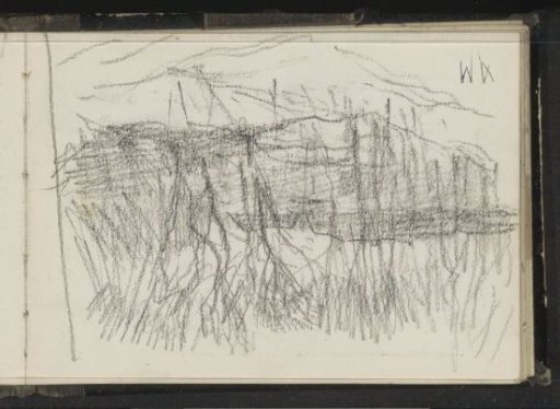 Hilly landscape with trees