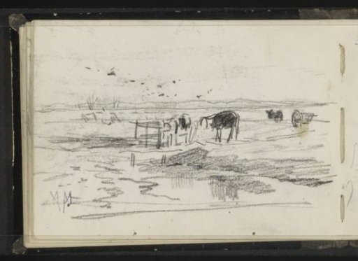 Cows in a meadow by the water