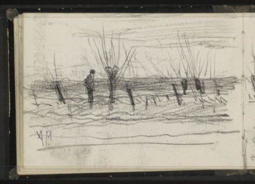 Man in a meadow by a row of pollard willows