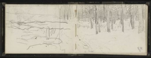 Hilly landscape and the edge of a forest