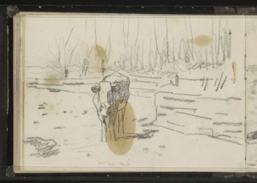 Cow in a meadow
