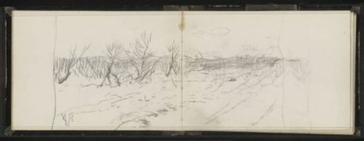 Landscape with trees with bare branches