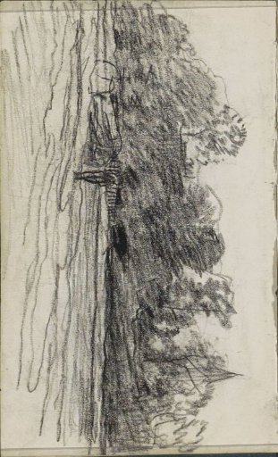 Ploughed field next to a group of trees