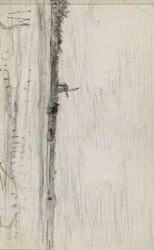 Meadow with a windmill