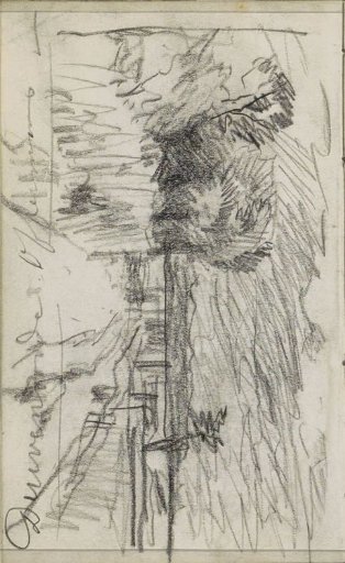 Landscape with a path along some trees