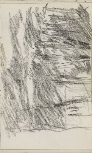 Slope with trees