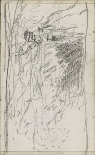 Path in a landscape