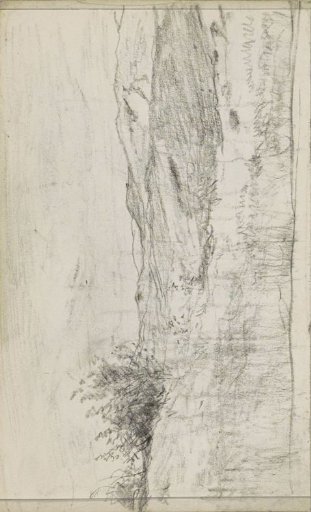 Hilly landscape with bushes