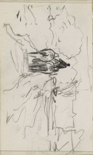 Horse and rider on a country road