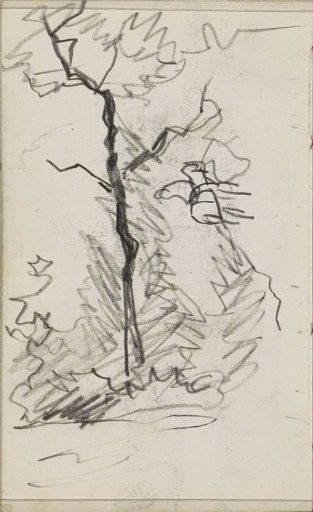 Tree and bushes