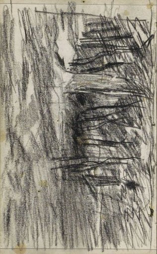 Edge of a forest