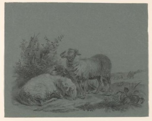 Sheep in a meadow