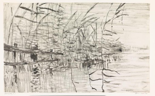 Waterfront with reeds