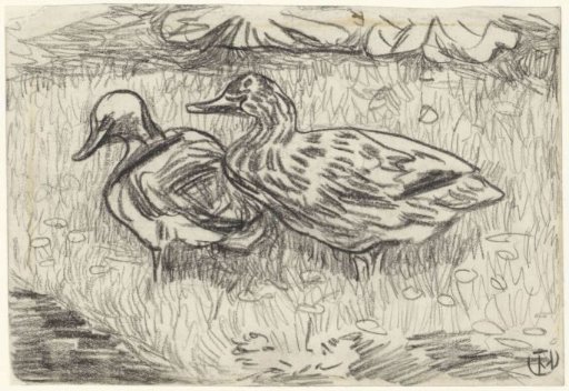 Two Ducks