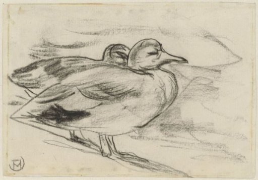 Two ducks