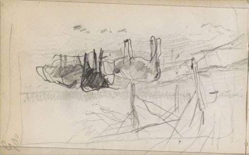 Meadow with cows by a ditch