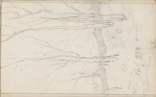 Bare trees before a fence