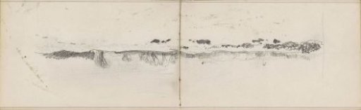 Landscape with trees and shrubs