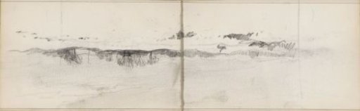 Landscape with trees and shrubs