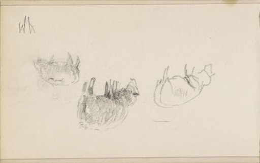 Three grazing sheep