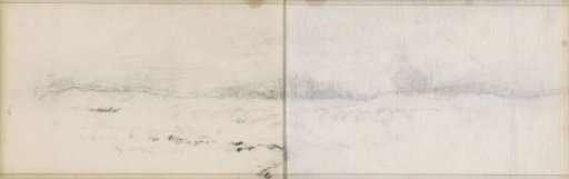Landscape with bushes
