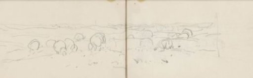 Landscape with grazing sheep