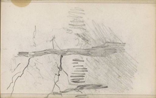 Two trees in front of a fence