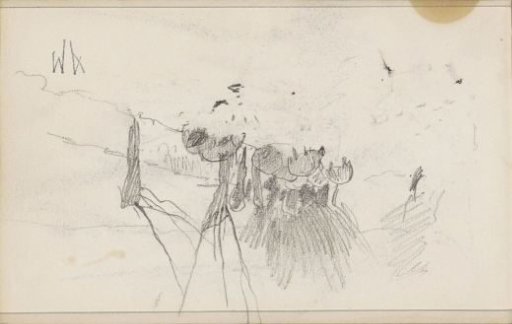 Sheep beside a row of pollard willows by a ditch